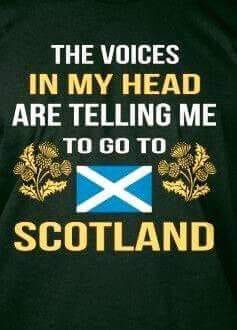 Go to Scotland