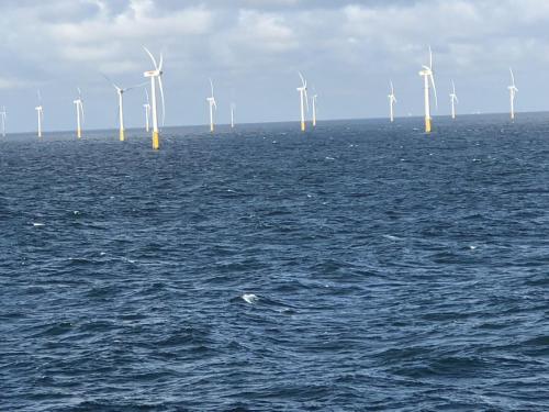 Het windmolenpark voor de kust van Nederland